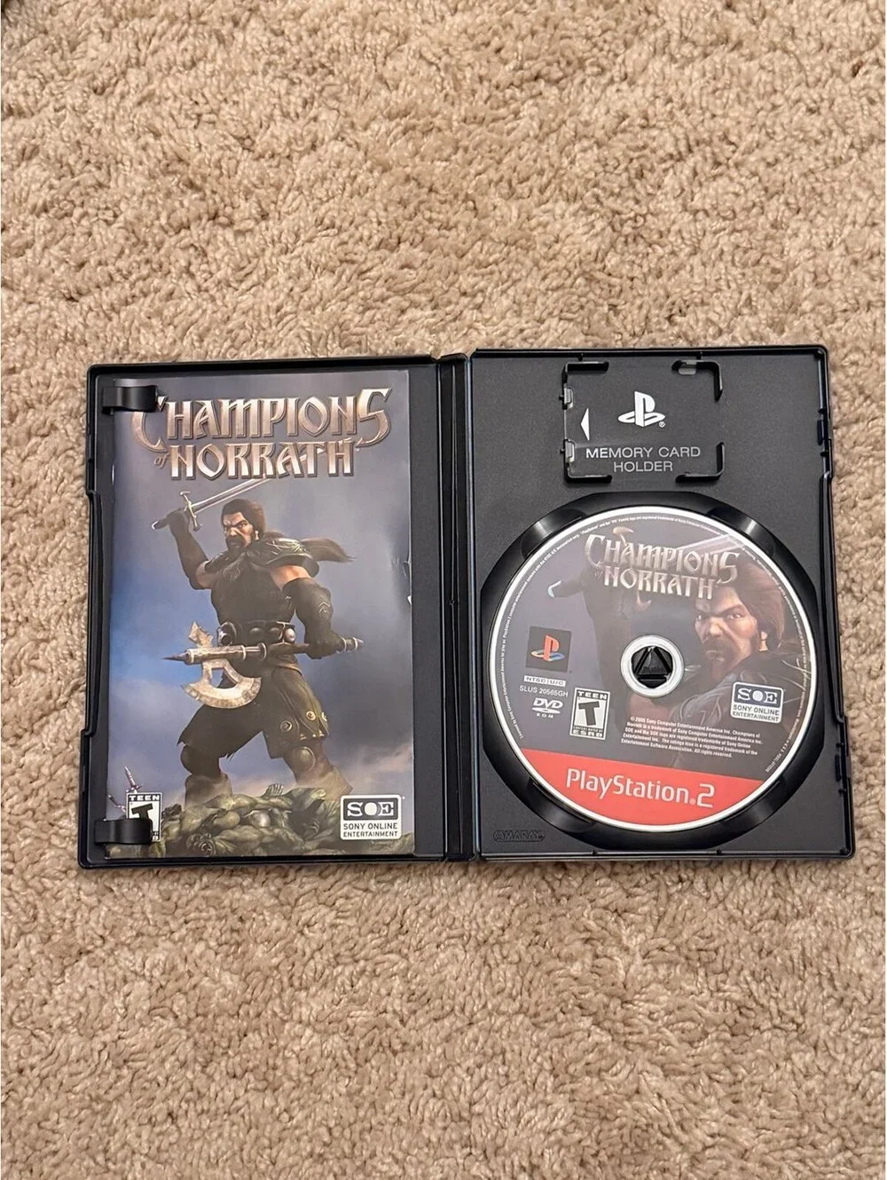 Champions of Norrath for PlayStation 2